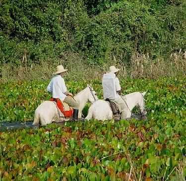 Horseback Ride in Pouso Alegre Lodge