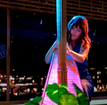 A harpist performing under colorful lights with a city nightscape in the background.