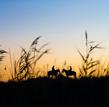 Silhouette of two riders on white horses in a field at sunset with tall grass in the foreground.
