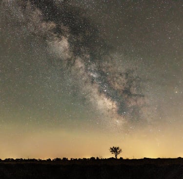 Vibrant Milky Way galaxy stretching across a starry night sky above a dark horizon with a lone tree silhouette.