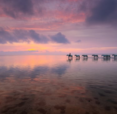 A line of horses walking through shallow water at sunset under a purple and orange sky.
