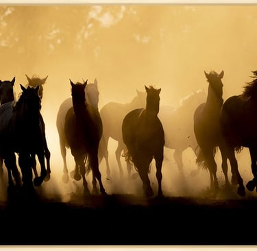 a group of horses running in the dust
