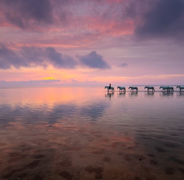 Silhouette of a person riding a white horse through shallow ocean water at a colorful sunset.