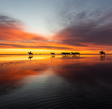 A group of silhouetted horses and riders walking across a calm lake at sunset with a vibrant orange and purple sky.