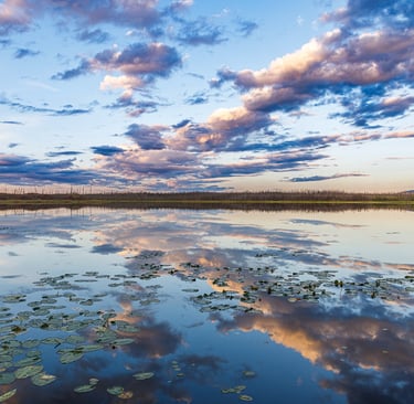 a lake with water lillies and clouds