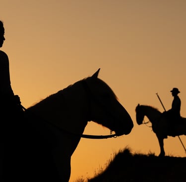 Silhouette of a woman and man riding horses at sunset against an orange sky.
