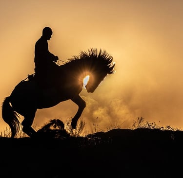 Silhouette of a man riding a rearing horse against a golden sunset background.