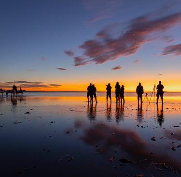 Silhouetted photographers and white horses on the water at sunrise during a Camargue photography workshop.