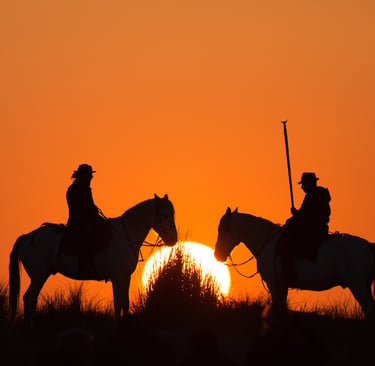 Silhouette of two horse riders on a beach at sunset with a large orange sun in the background.