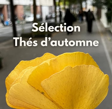 Feuilles jaunes