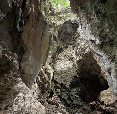 Killing Caves