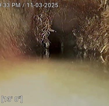 Roots in drain-Montreal camera inspection