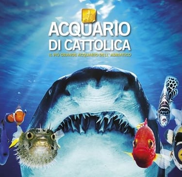 Acquario di Cattolica, Parco Navi provincia di Rimini
