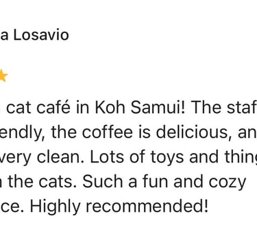 Five-star review praising friendly staff, tasty coffee and a very clean cat cafe