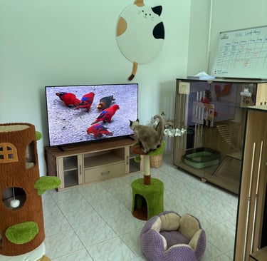 Cat perched on a tree watching birds on a large TV in the cat hotel