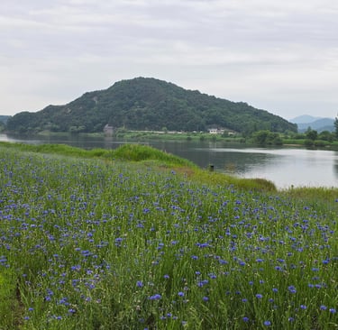 Baegmagang river view