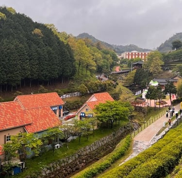 Boseong tea fields and coffee shop