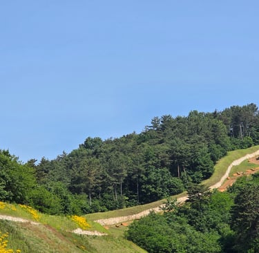 Naseong City Wall