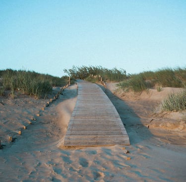 Palanga beach, kopos, Palangos papludimys, smėlis