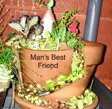 What to do with broken Terra Cotta Pots