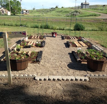 A family's first garden using untreatred pallets