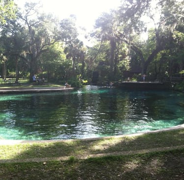 Juniper Springs Recreation Area