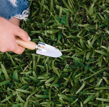 sod installation Phoenix