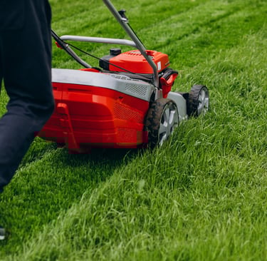 landscapers Peoria AZ