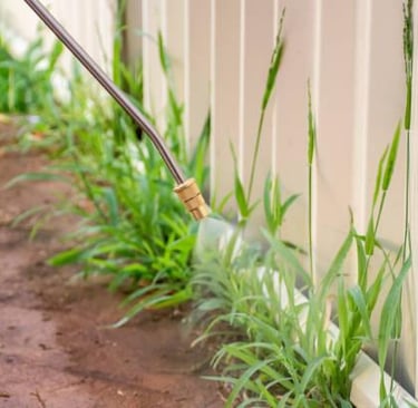 weed control phoenix az