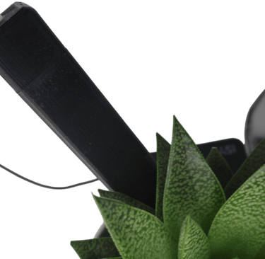 plant moisture sensor with raspberry pi diy