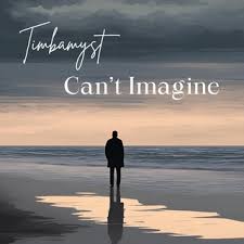 a man standing on a beach with a sky background