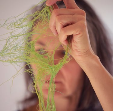 olka schok nouvel an composition 2026