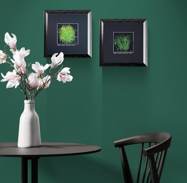  Olka Schok #FilsFreeTechnique  Little treasures