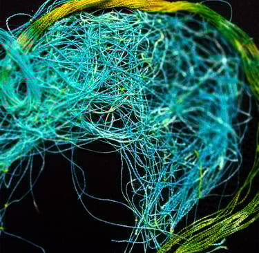  Olka Schok #FilsFreeTechnique  nuits blanches