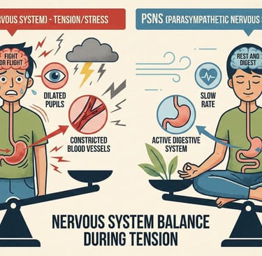 Diagram comparing sympathetic and parasympathetic nervous system responses for stress balance.