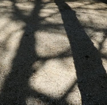 Gestalt-thérapie, émergence et transformation à Décines-Charpieu, Lyon Est