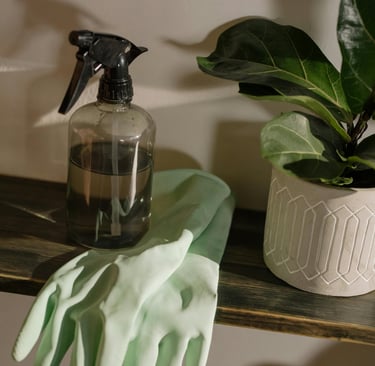 Serene Haven Cleaning | Fully Equipped with Professional Cleaning Supplies – Bracebridge