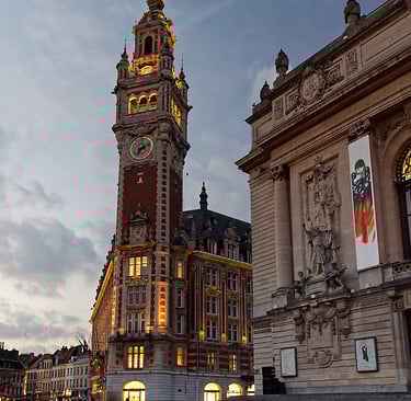 Diagnostic de Performance Énergétique (DPE) à Lille : Expertise Dixi Diagnostics pour valoriser votr