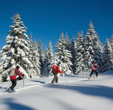 ski de rando 