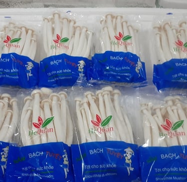 Nấm Hải Sản HeQuan