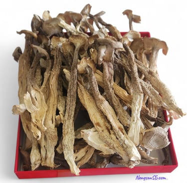 Sỉ Nấm Lộc Nhung HCM