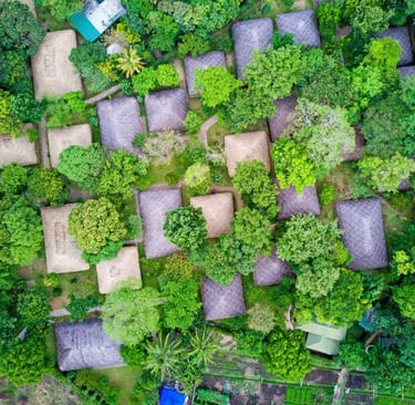 Traditional stay in a spice plantation in Kerala.