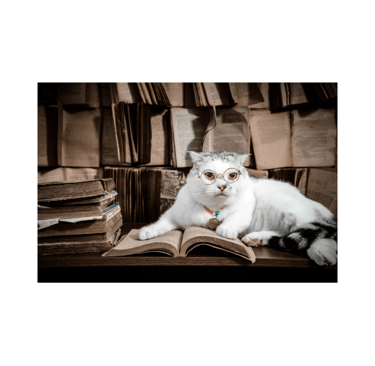 pet transport directory user review section