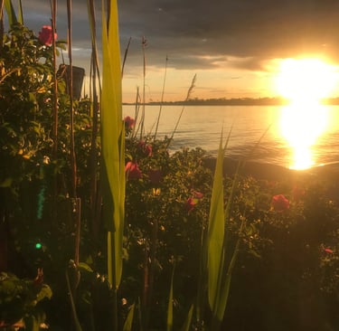 Beach roses and sunset in Clinton, CT