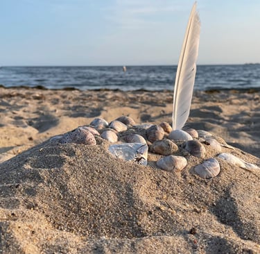 A feather and a crab claw suggest the epic journey of Odysseus at the Town Beach in Clinton, CT