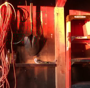 Sunset illuminates a red barn