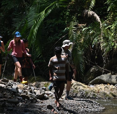 Sumatra Trip