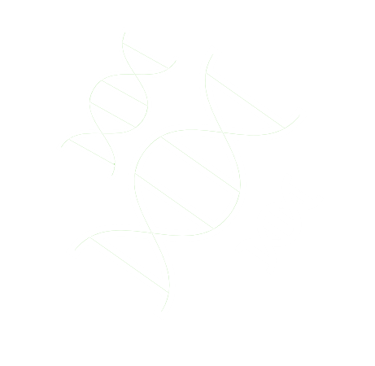 Diagnóstico de Necesidades