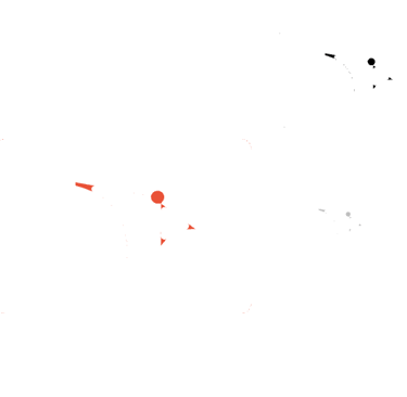 Entrenamientos a la medida