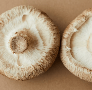 vegan glutenfree snack Shiitake mushroom chips